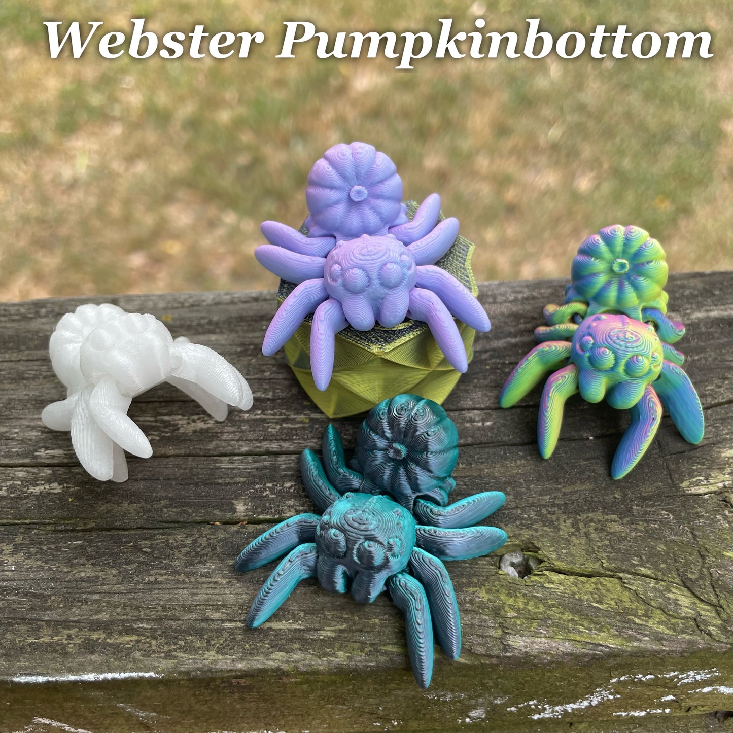 Webster Pumpkinbottom