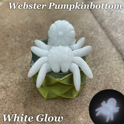 Webster Pumpkinbottom