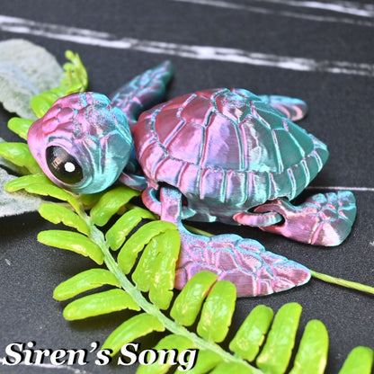 Sea Turtle